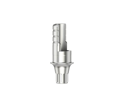 Titanbasis ASC Flex Typ 2-SF (EV-Serie - D 3,0 - Höhe 3,5-6,5)