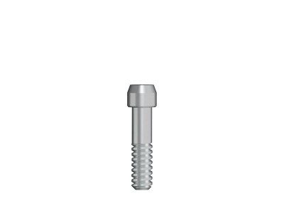 Abutment screw / Hex 1,26 M 1,6